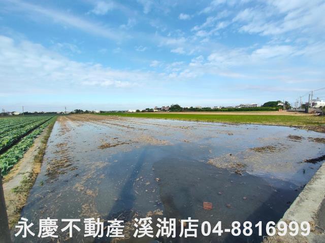 彰化埤頭農地-1