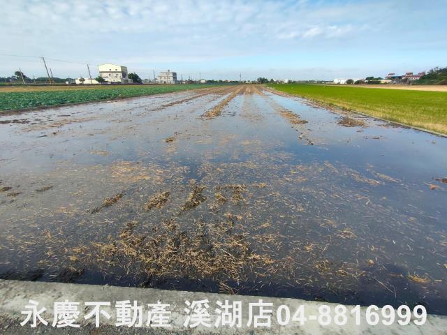 彰化埤頭農地-3