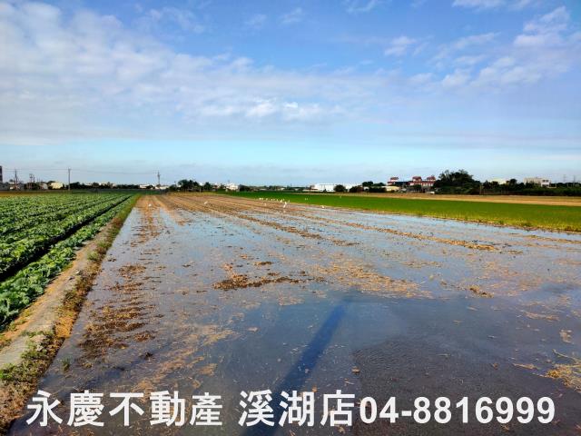 彰化埤頭農地-9