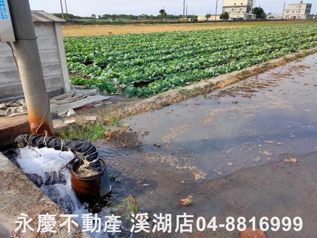 彰化埤頭農地-10
