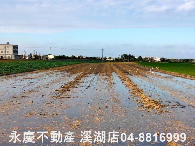 彰化埤頭農地-11