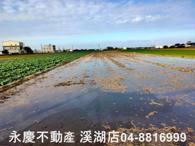 彰化埤頭農地-12