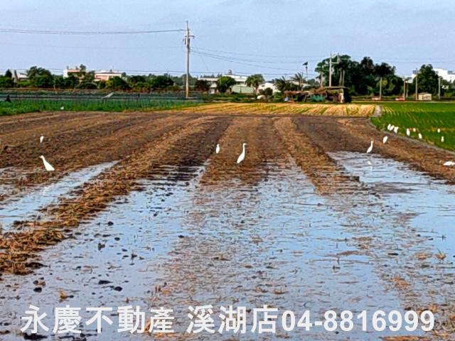 彰化埤頭農地-13