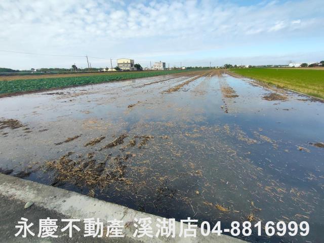 彰化埤頭農地-14