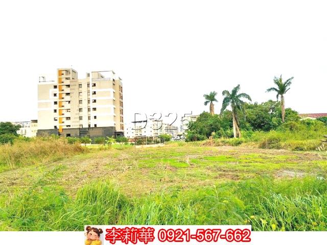新市農地-1