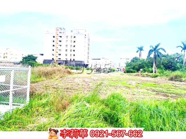 新市農地-3