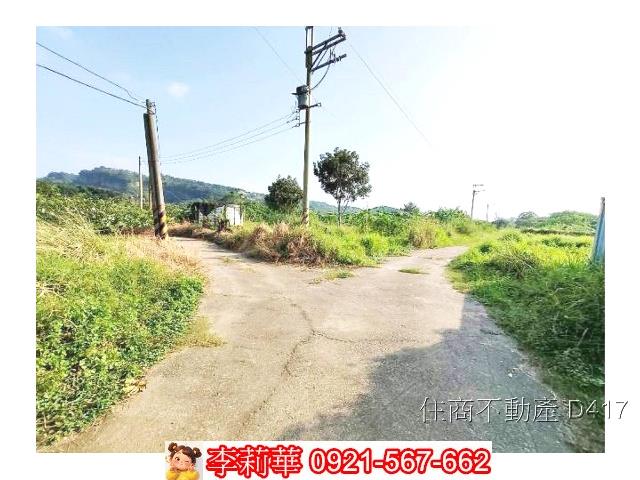 玉井農地-6