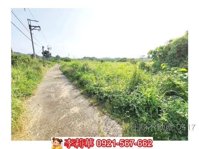 玉井農地-7