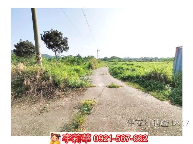 玉井農地-8