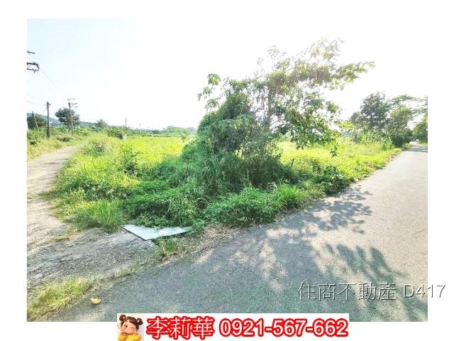 玉井農地-9