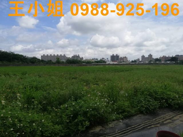 桃園桃園區農地-10