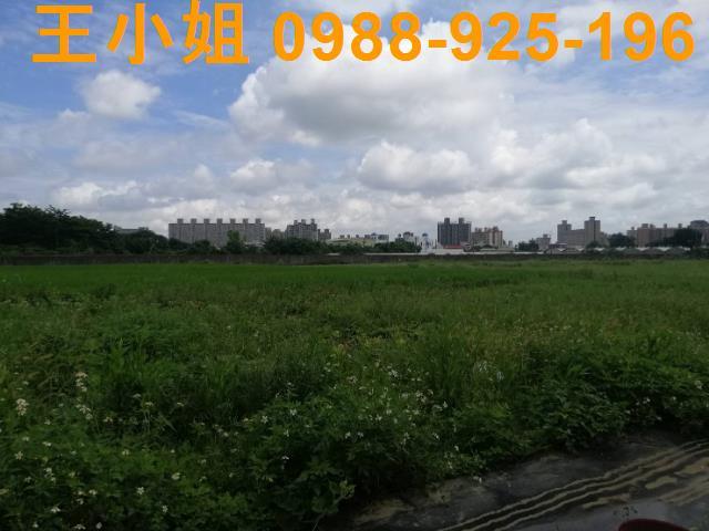 桃園桃園區農地-11