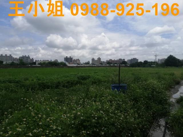 桃園桃園區農地-12