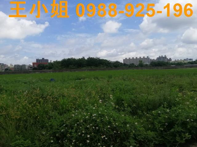 桃園桃園區農地-14