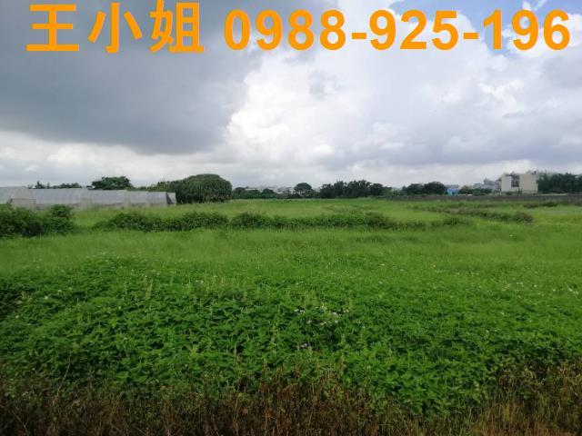 桃園桃園區農地-15