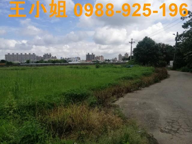 桃園桃園區農地-1