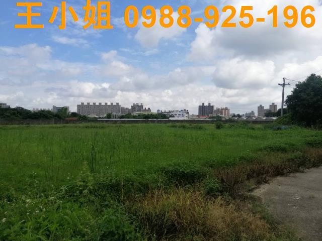桃園桃園區農地-2
