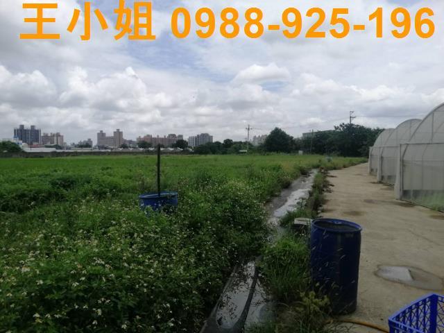 桃園桃園區農地-3