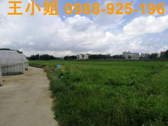 桃園桃園區農地-5