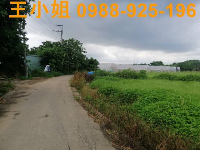 桃園桃園區農地-6