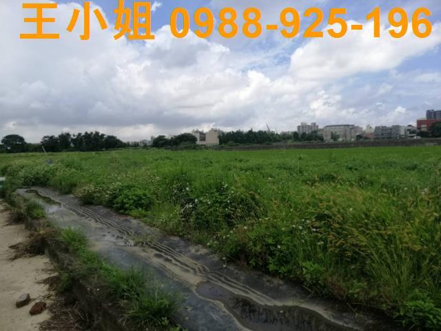 桃園桃園區農地-7