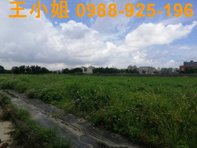 桃園桃園區農地-8