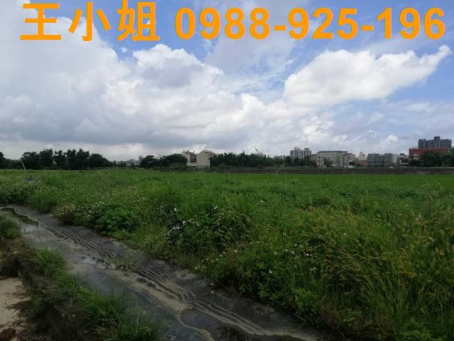 桃園桃園區農地-9