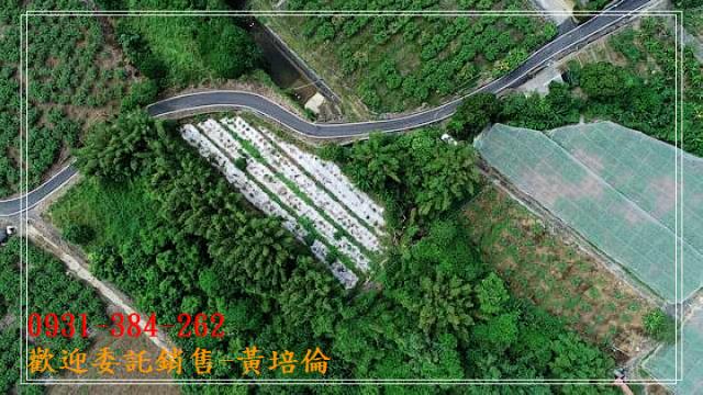 黃培倫的店鋪