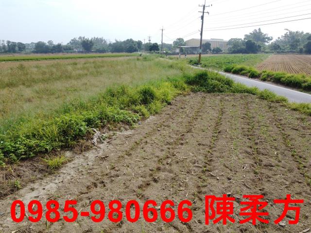 嘉義西區農地-1