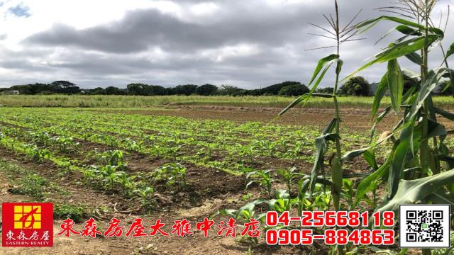 台中農地-1