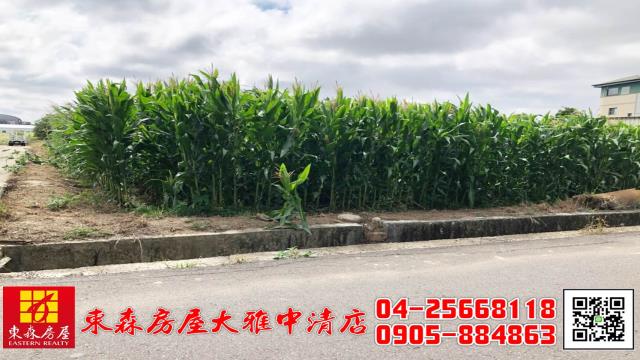 台中農地-7