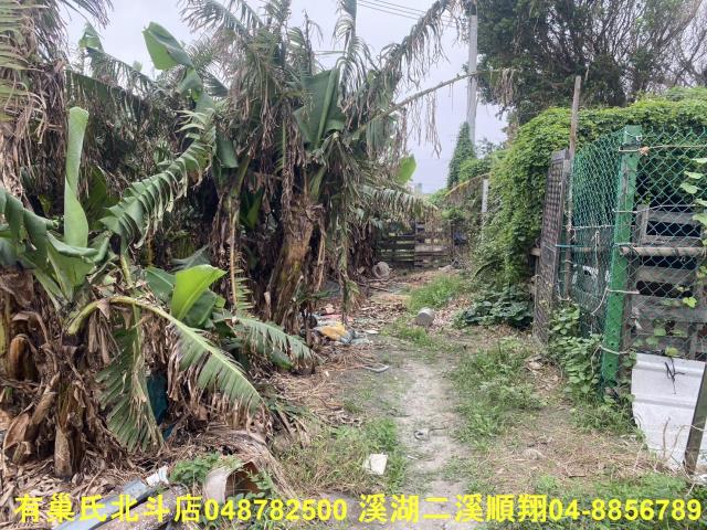 芳苑農地-3