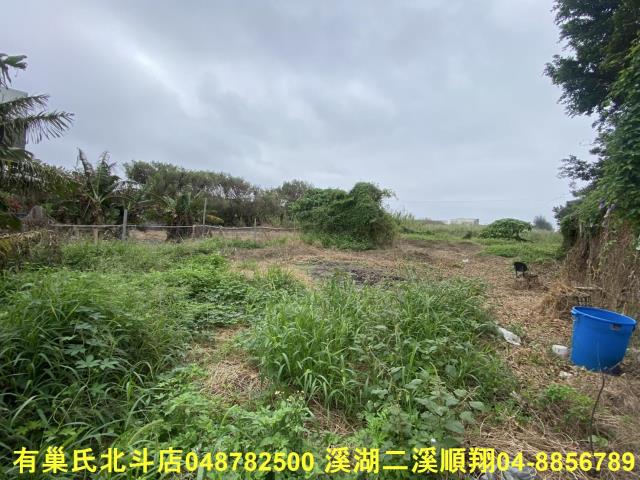 芳苑農地-4