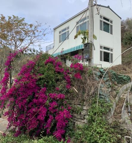 卓蘭山坡地-3