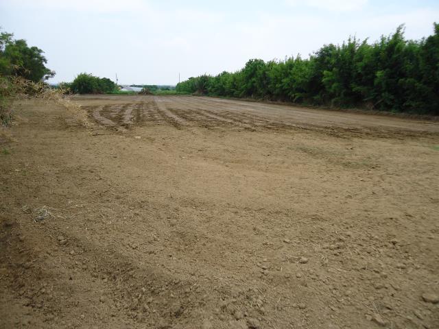 新竹新豐農地-3