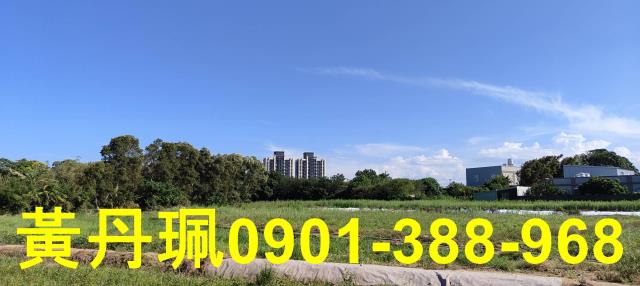 桃園大園農地-3