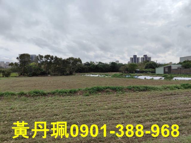 桃園大園農地-4