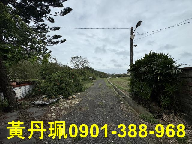 桃園大園農地-5
