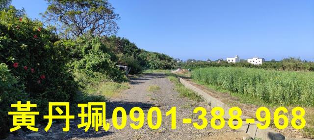 桃園大園農地-7
