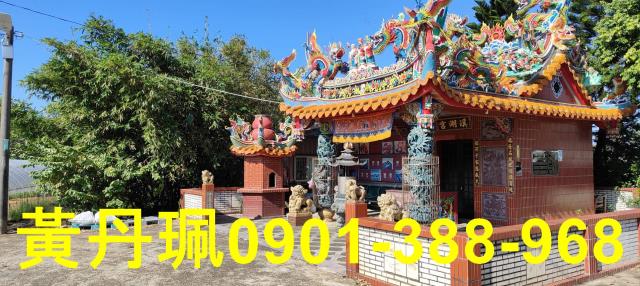 桃園大園農地-8