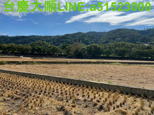 新竹新埔農地-10
