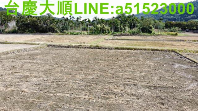 新竹新埔農地-9