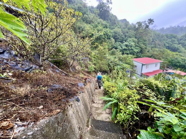 中寮山坡地-10