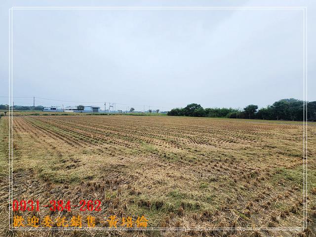 六甲林鳳營段優質農地