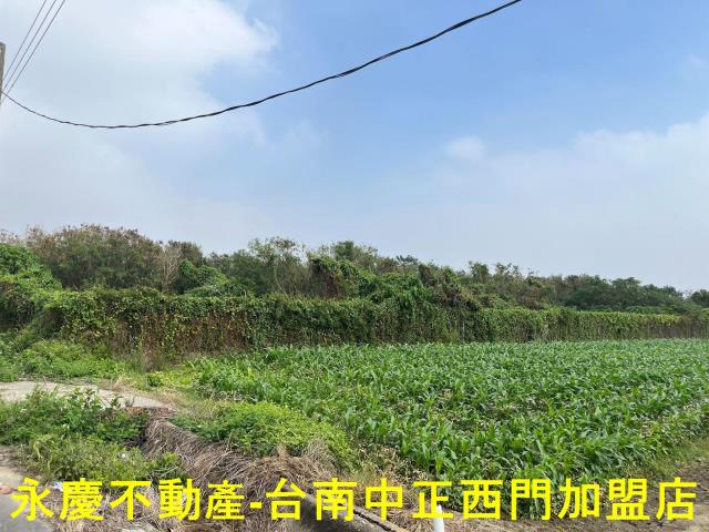 佳里農地-12