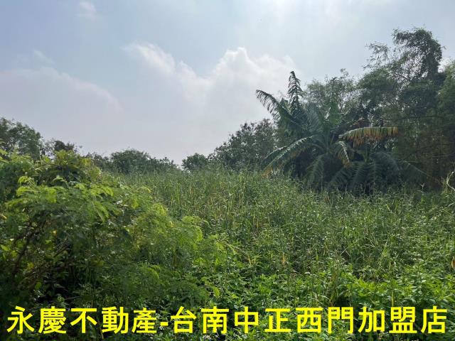 佳里農地-8