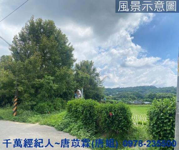 竹東農地-3