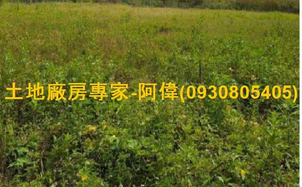 新營工業地-1