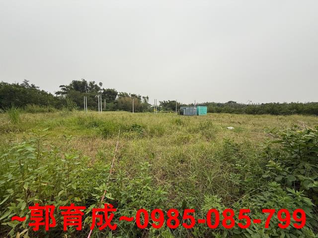 中埔農地-4