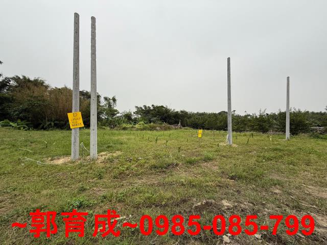 中埔農地-6